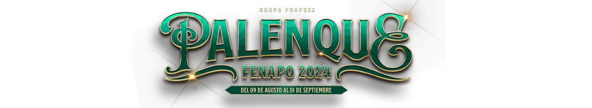 Captura de pantalla 2024-07-25 214619