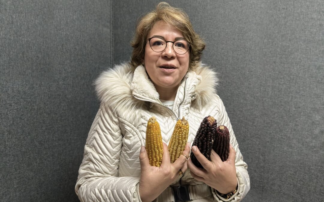 Aumentan productos genéticamente modificados en el consumo del mexicano, revela investigación en la que participa la UASLP