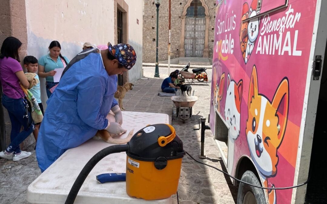 Bocas se suma a acciones institucionales municipales para el Bienestar Animal