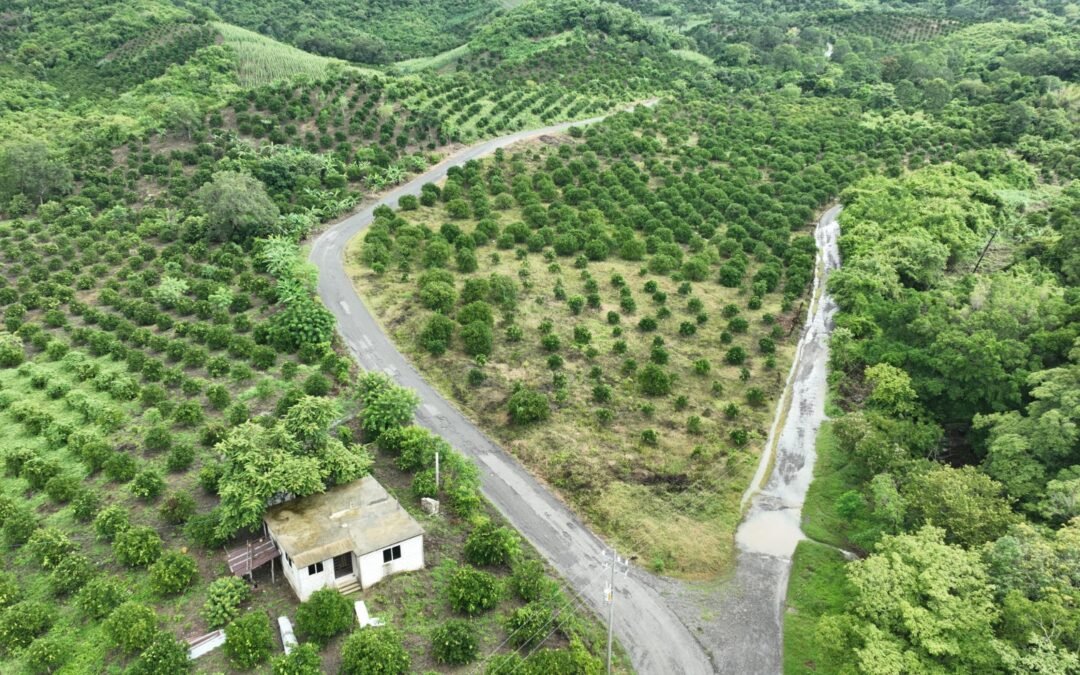 FAMILIAS DE SAN MARTIN RECONOCEN A RICARDO GALLARDO POR OBRAS CARRETERAS