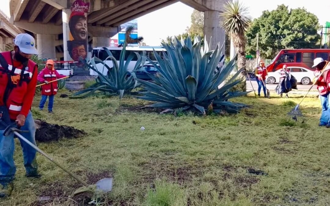 Gobierno de la Capital realiza mantenimiento en la glorieta Juárez