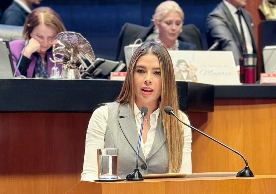 RUTH GONZÁLEZ SILVA PROPONE TIPIFICAR LA SUPLANTACIÓN DE IDENTIDAD COMO DELITO FEDERAL