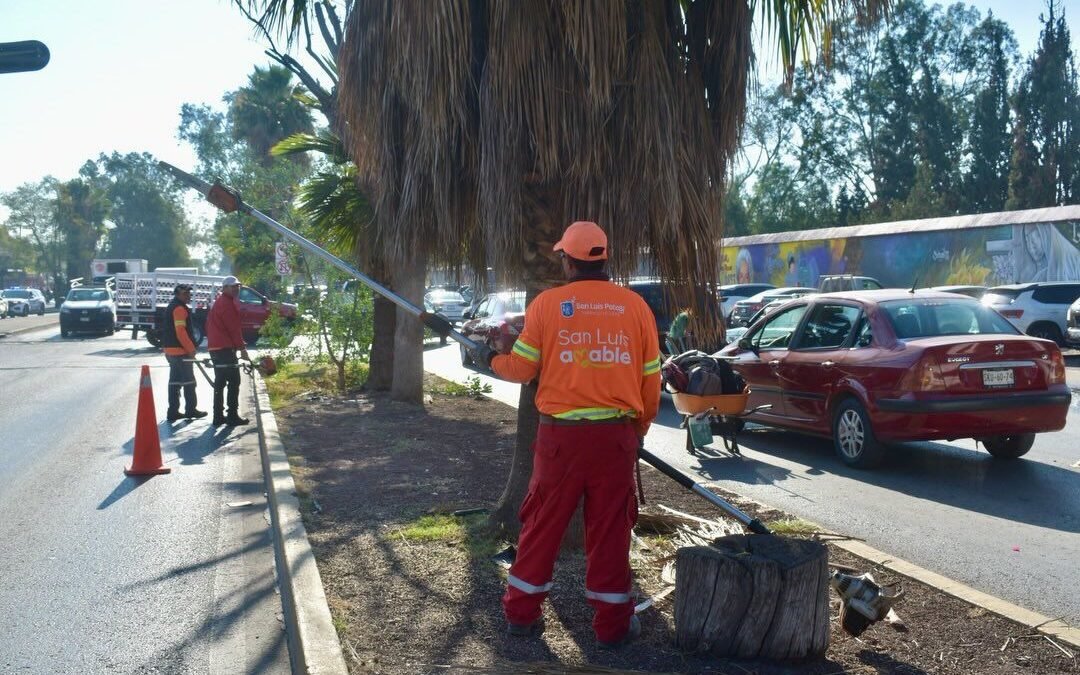 Gobierno de la Capital mejora condiciones de la Avenida Fray Diego de la Magdalena