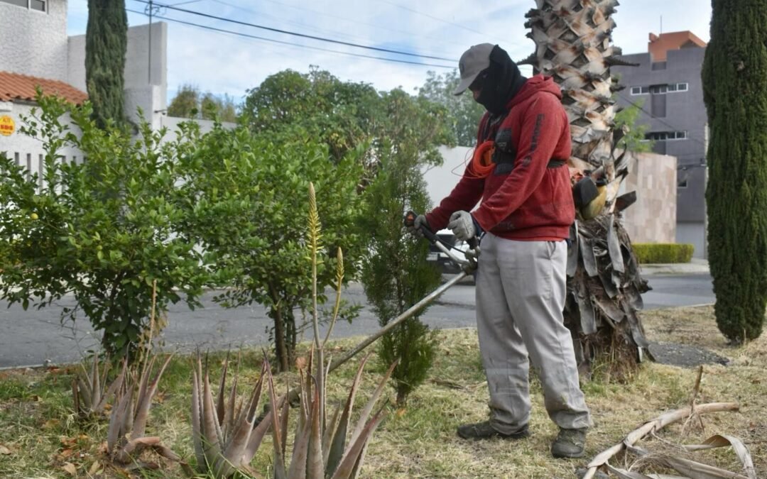 Capital al 100 y Domingo de Pilas transforman más de 500 colonias en San Luis Capital
