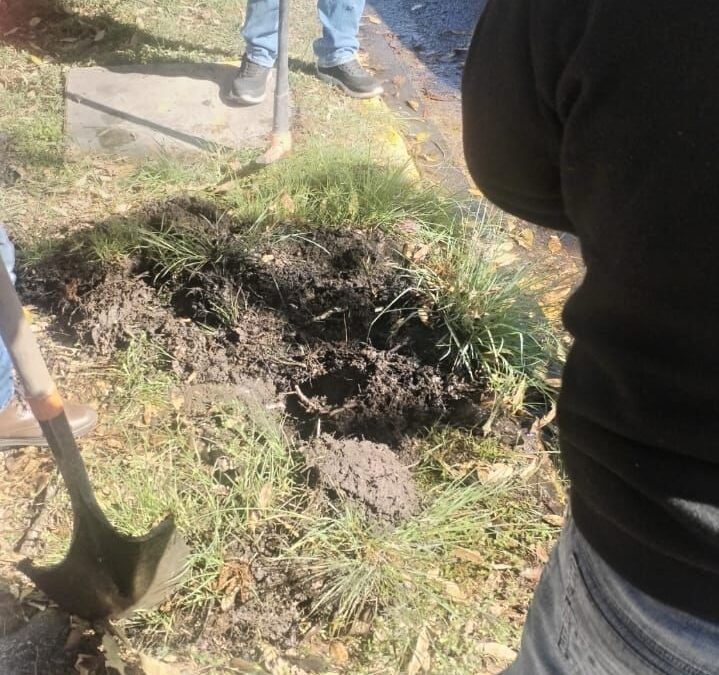 Interapas investiga posible toma clandestina en la avenida Mariano Jiménez