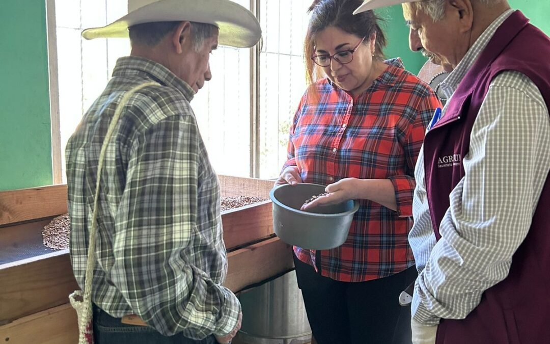 Proyecto de investigadora de la UASLP impulsa nuevas oportunidades para productores de la Huasteca Sur