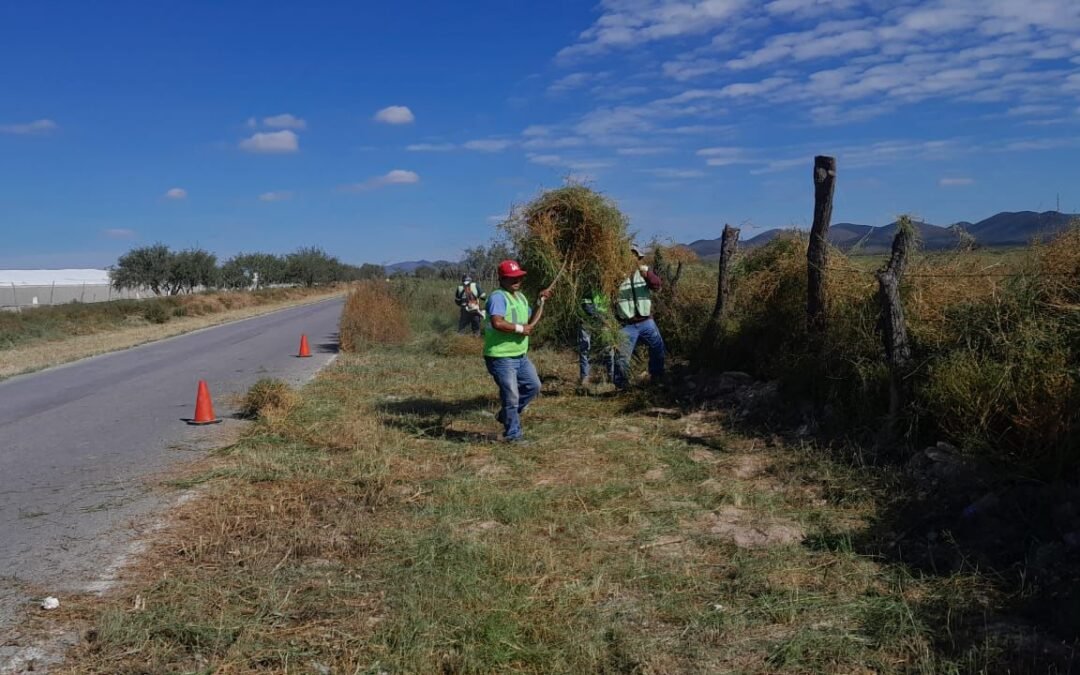 GOBIERNO DEL ESTADO CONSERVARÁ CAMINO EN CEDRAL