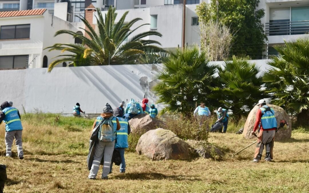 San Luis Capital mantiene acciones de limpieza y embellecimiento urbano
