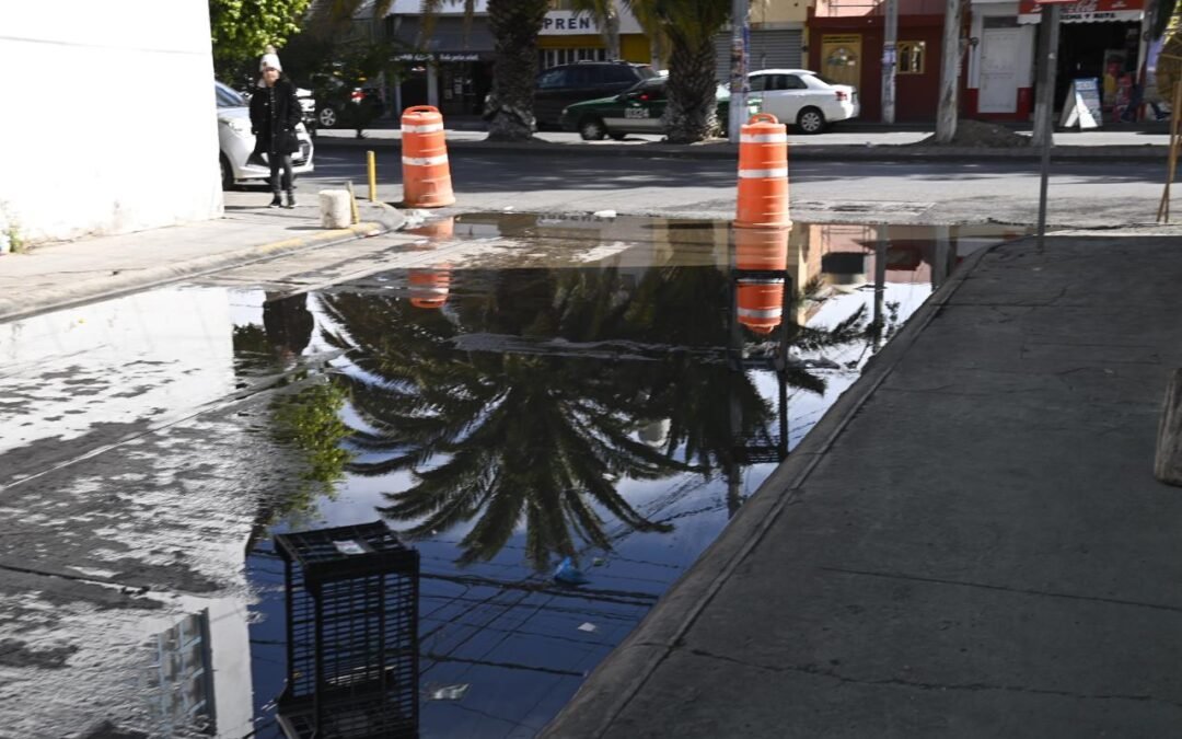 GOBIERNO DE SOLEDAD INICIA SOLUCIÓN DE DRENAJE COLAPSADO EN COLONIA AZALEAS