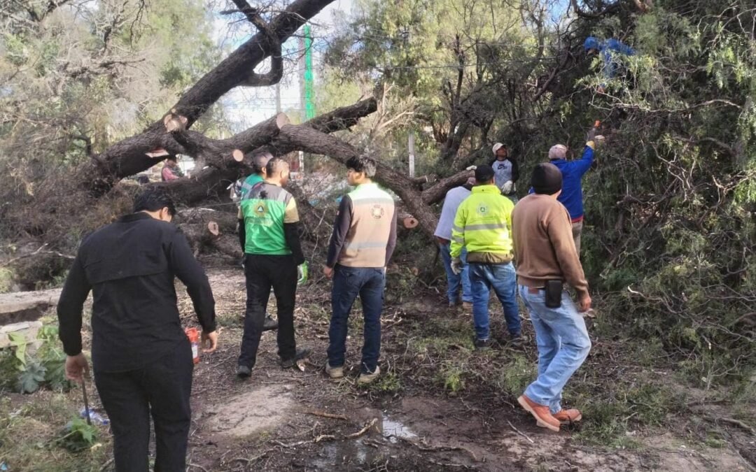 PROTECCIÓN CIVIL DE SOLEDAD ACTIVA ATENCIÓN PERMANENTE ANTE FUERTES VIENTOS