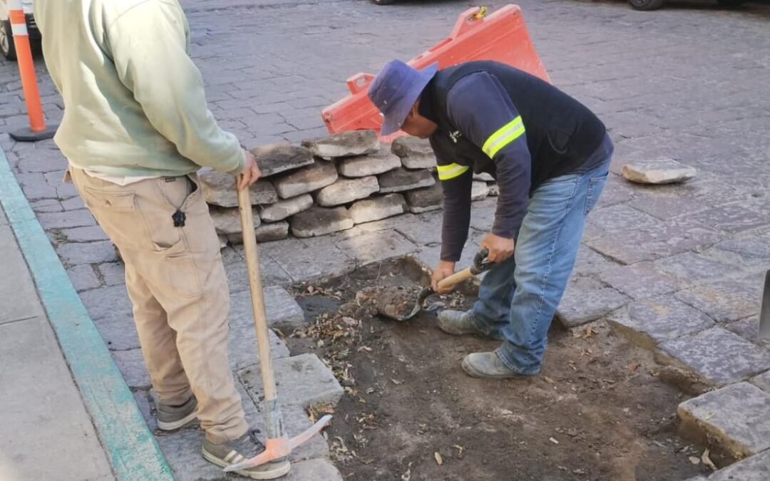 Atiende Gobierno de la Capital reporte por daños en calle Tomasa Estévez con reposición de adoquín
