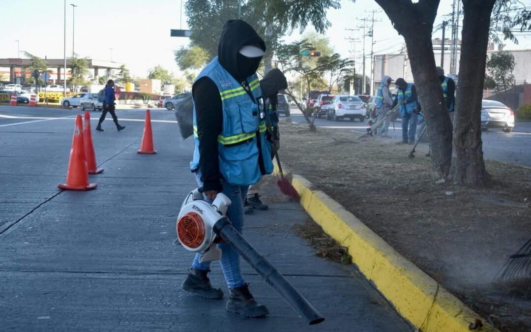 Limpieza integral del camellón de Av. Chapultepec: ayuntamiento SLP