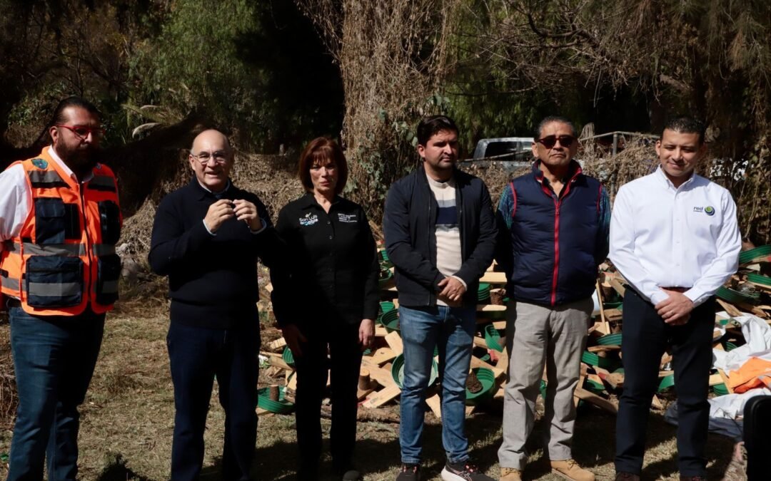 Invita Gobierno de la Capital a aprovechar último día para depositar árboles navideños naturales