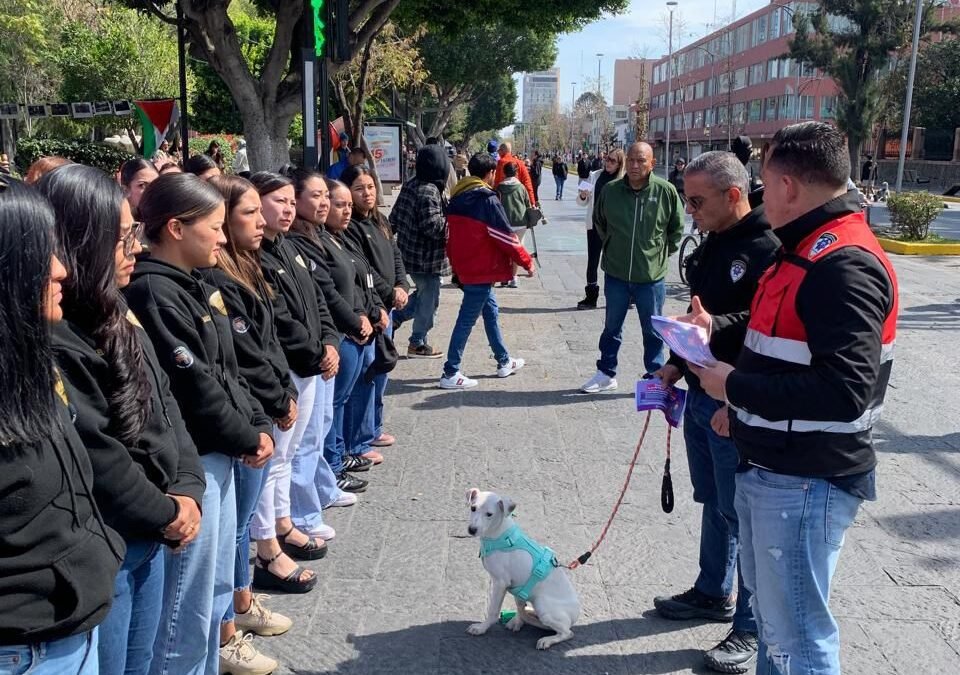 Gobierno de la Capital promueve paseo responsable de animales de compañía
