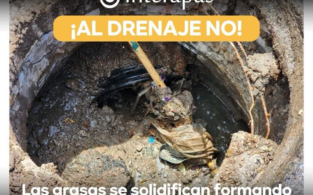 Interapas llama al manejo correcto de grasas mecánicas