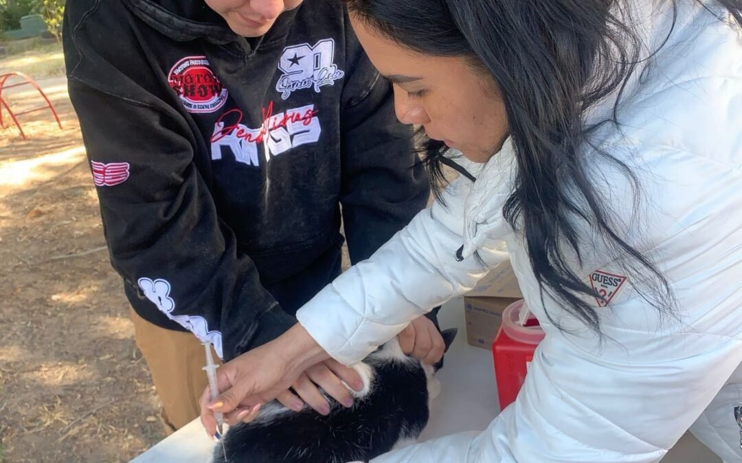 Responde ciudadanía a Jornadas gratuitas de vacunación del Ayuntamiento de SLP