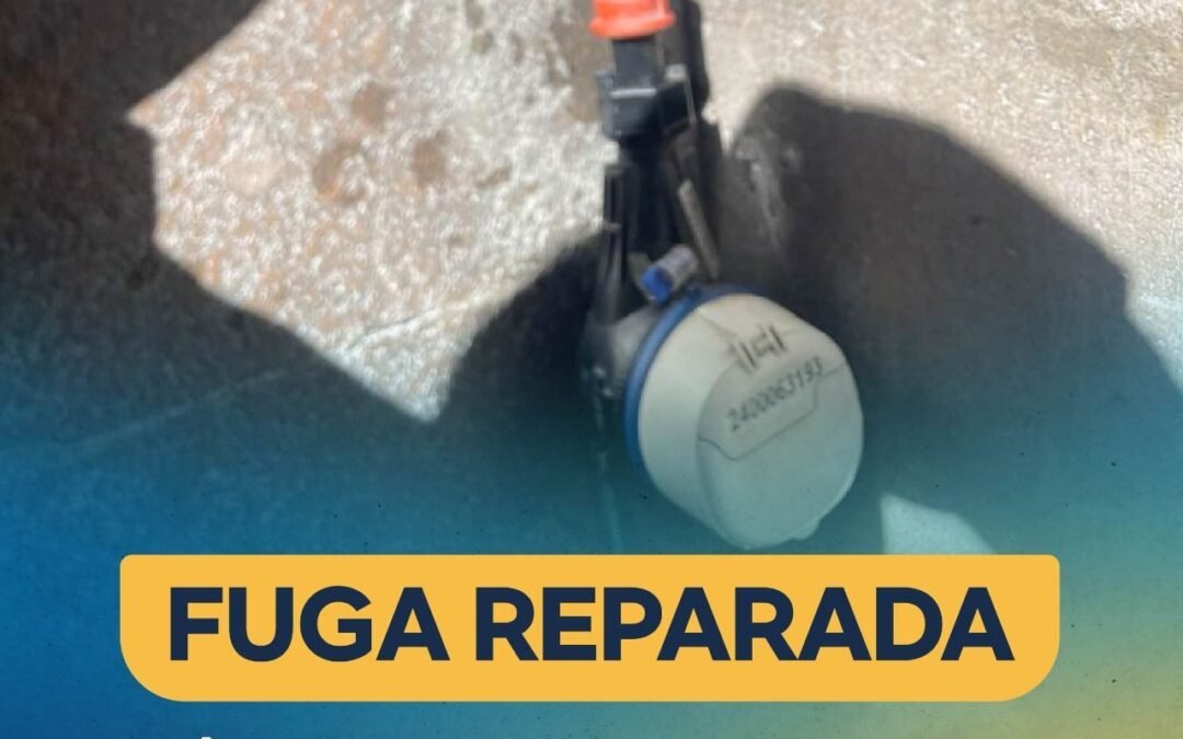 Certera intervención de Interapas en fuga del Centro Histórico