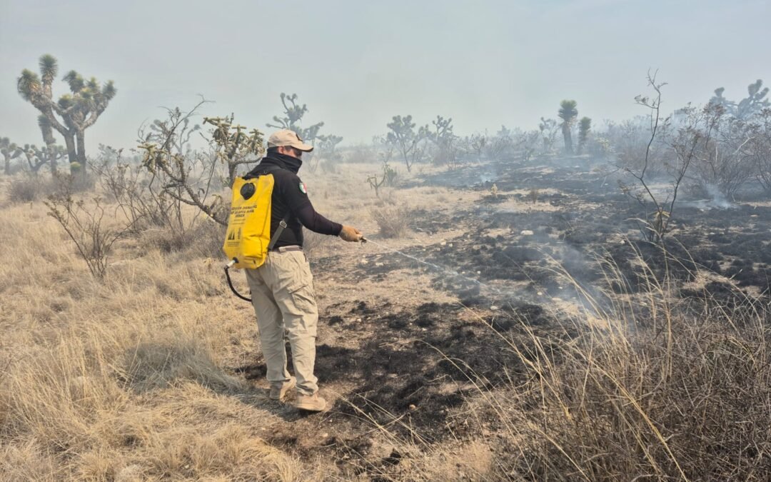OPERATIVO ESTATAL CONTIENE INCENDIO FORESTAL EN SANTO DOMINGO