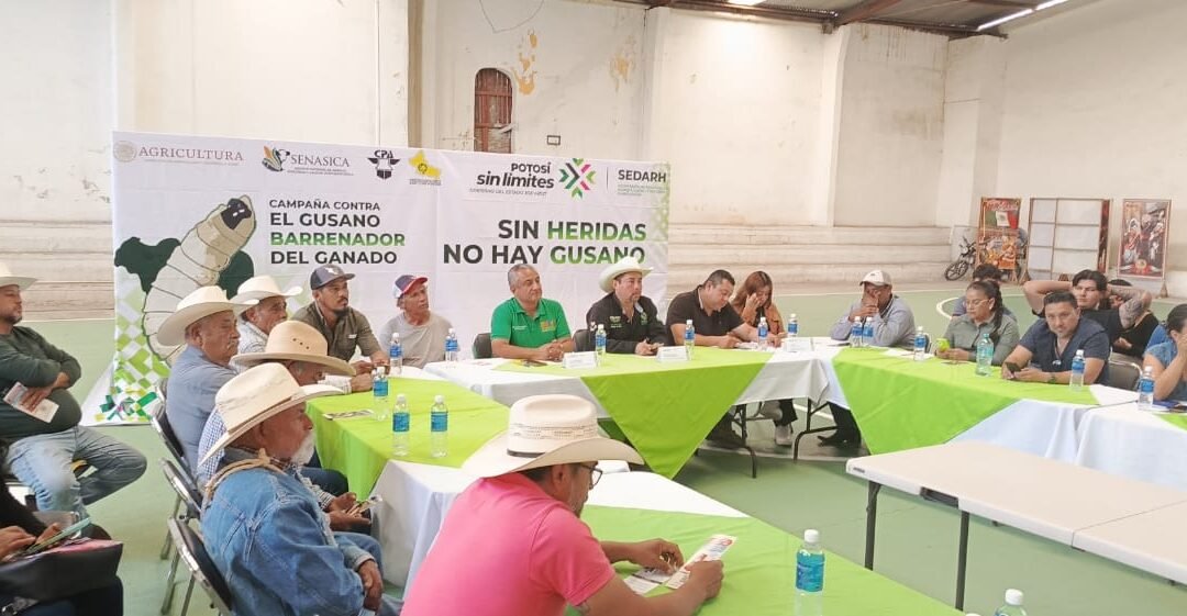 SAN LUIS REFUERZA CERCO SANITARIO GANADERO