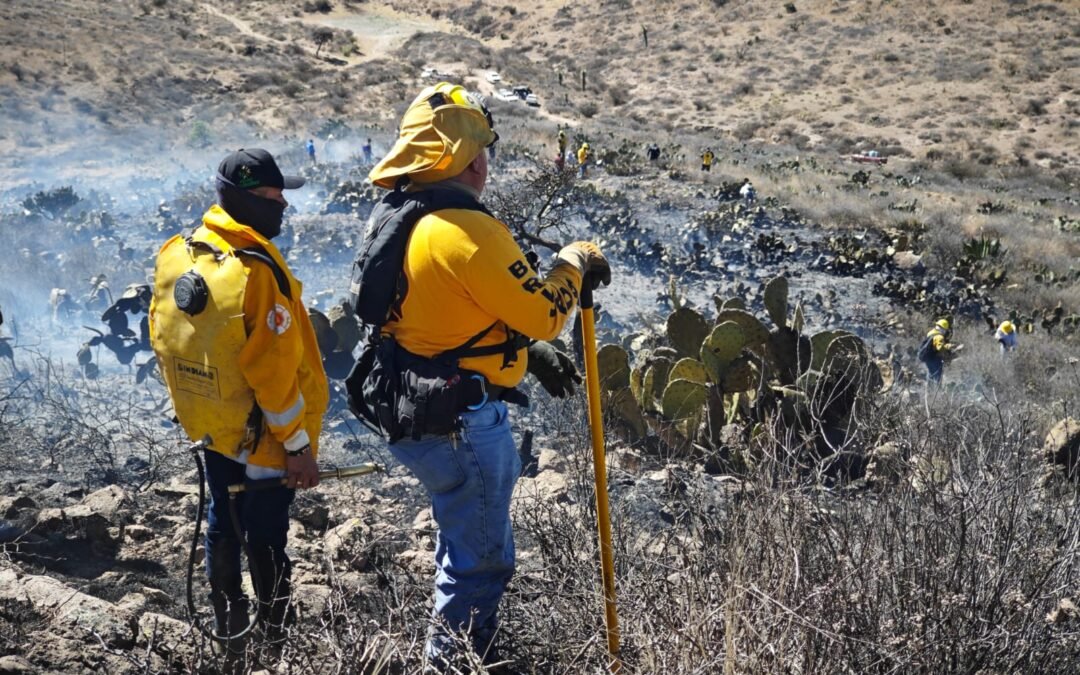 RESPONDE ESTADO CON ACCIONES OPORTUNAS ANTE INCENDIOS