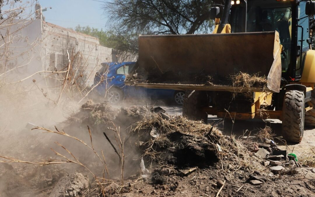 Gobierno de la Capital transforma lotes abandonados con Intervención ambiental en la colonia Simón Díaz