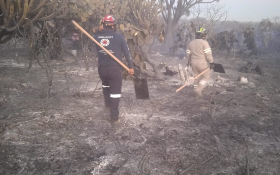 Protección Civil Municipal mantiene monitoreo y prevención ante incendio en Mexquitic: no hay riesgo para la mancha urbana