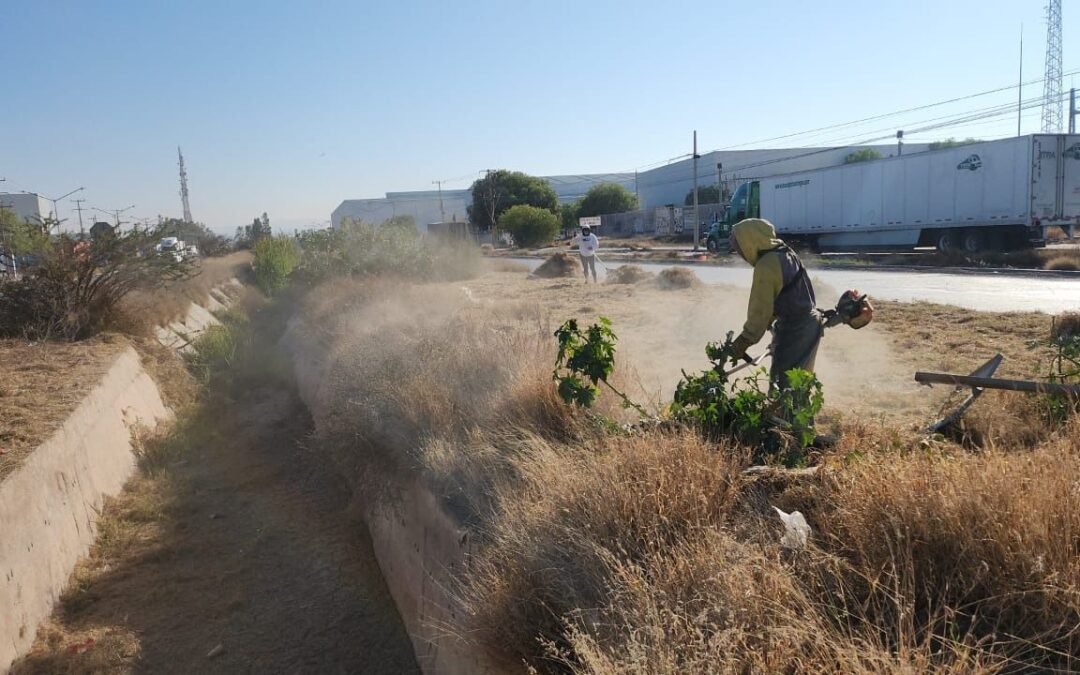 Mantenimiento y limpieza de cuadrillas de la delegación de La Pila en el Eje 140