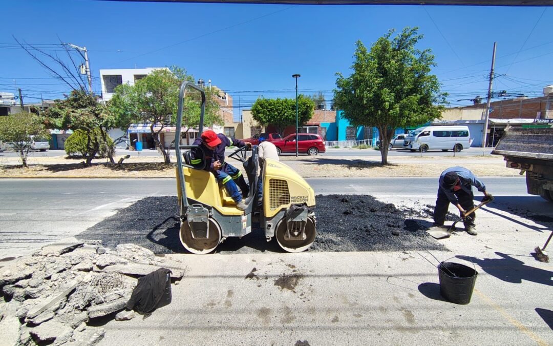 Gobierno de la Capital atiende reporte ciudadano en avenida Salk con bacheo emergente en la colonia Progreso