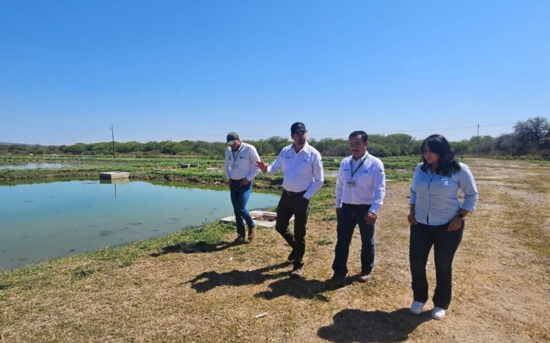 GOBIERNO ESTATAL GARANTIZA SERVICIOS DE AGUA MÁS EFICIENTES