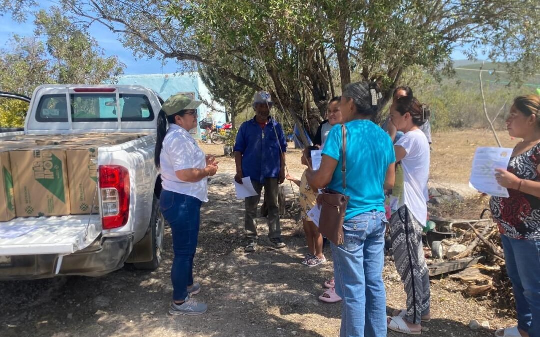 ESTADO FORTALECE SEGURIDAD ALIMENTARIA EN LAS CUATRO REGIONES