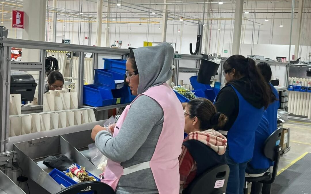 MÁS DE 519 MIL MUJERES IMPULSAN LA ECONOMÍA DE SAN LUIS