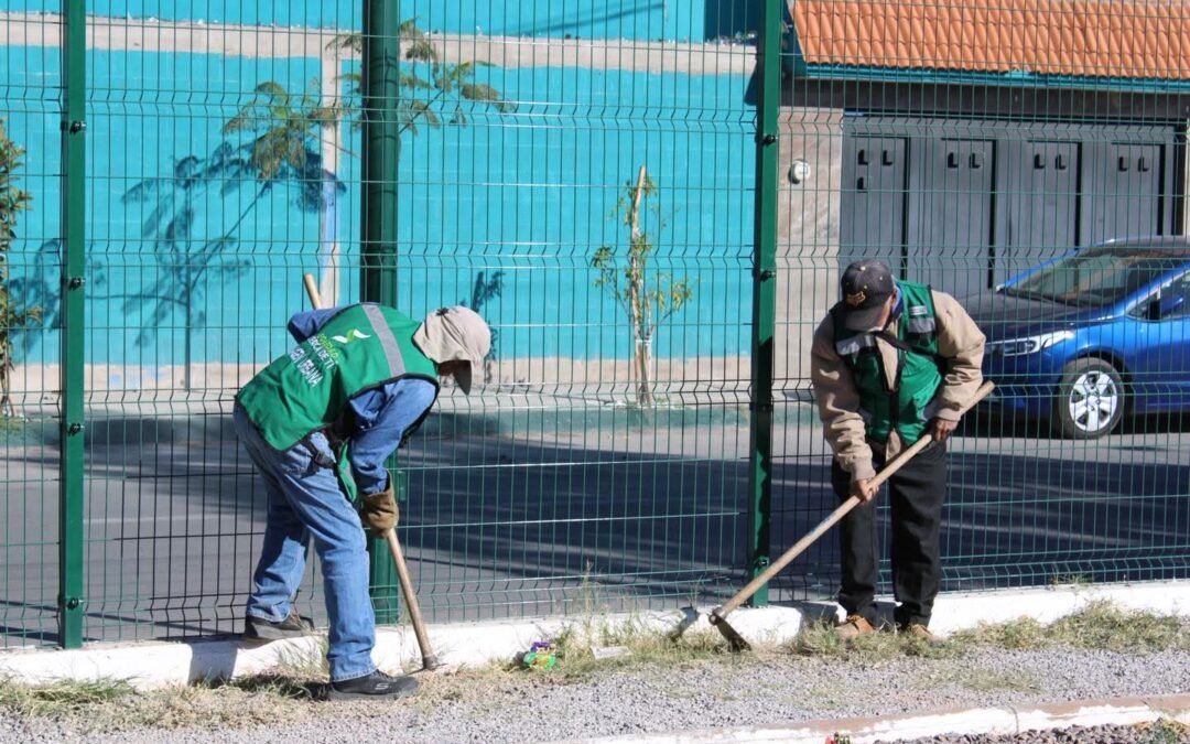 CONTINÚA PROGRAMA DE REFORESTACIÓN EN SOLEDAD CON AMPLIA PARTICIPACIÓN CIUDADANA