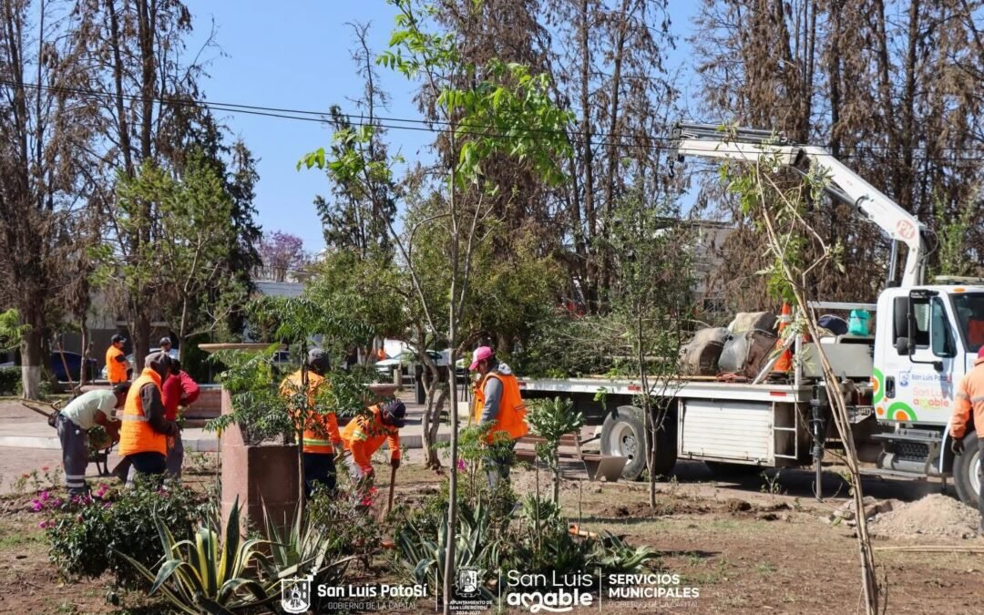 Ayuntamiento de SLP continúa con la rehabilitación del jardín Juan Ruiz de Alarcón