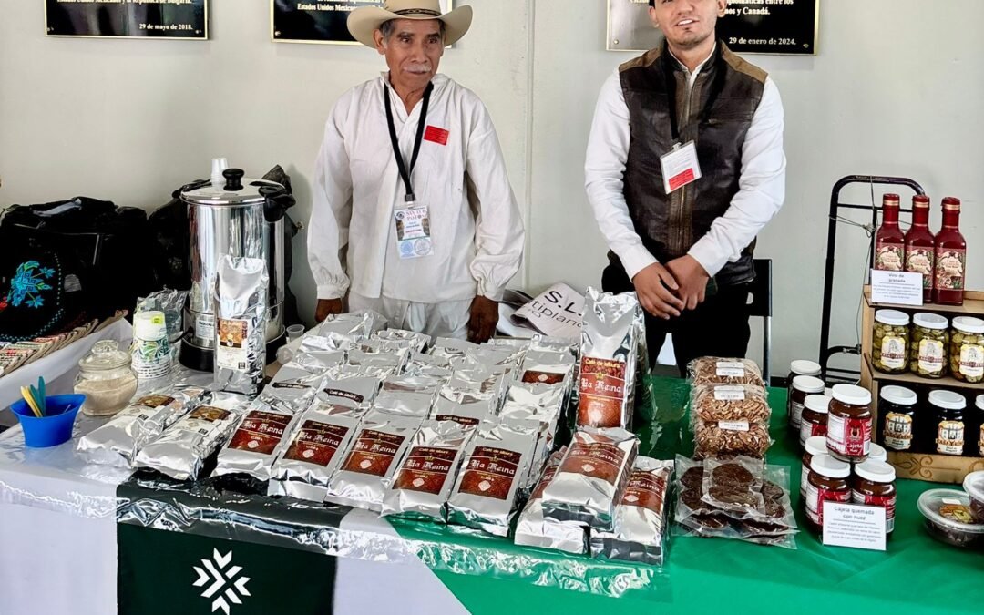 ARTESANÍAS POTOSINAS BRILLAN EN EL SENADO DE LA REPÚBLICA