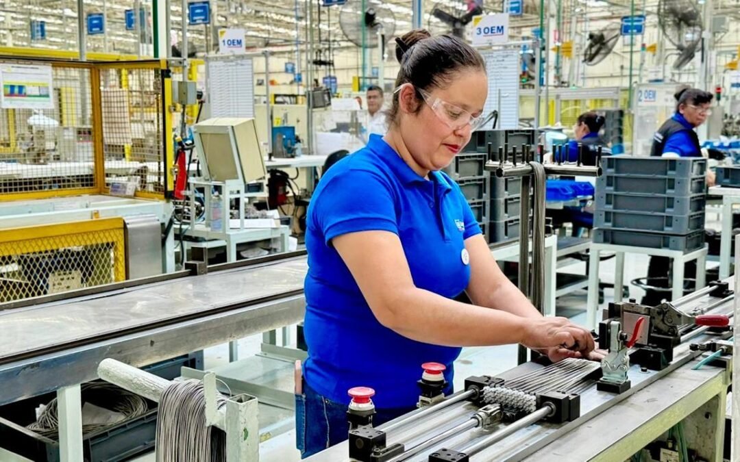 ITALIA RESPALDA EL CRECIMIENTO ECONÓMICO DE SAN LUIS