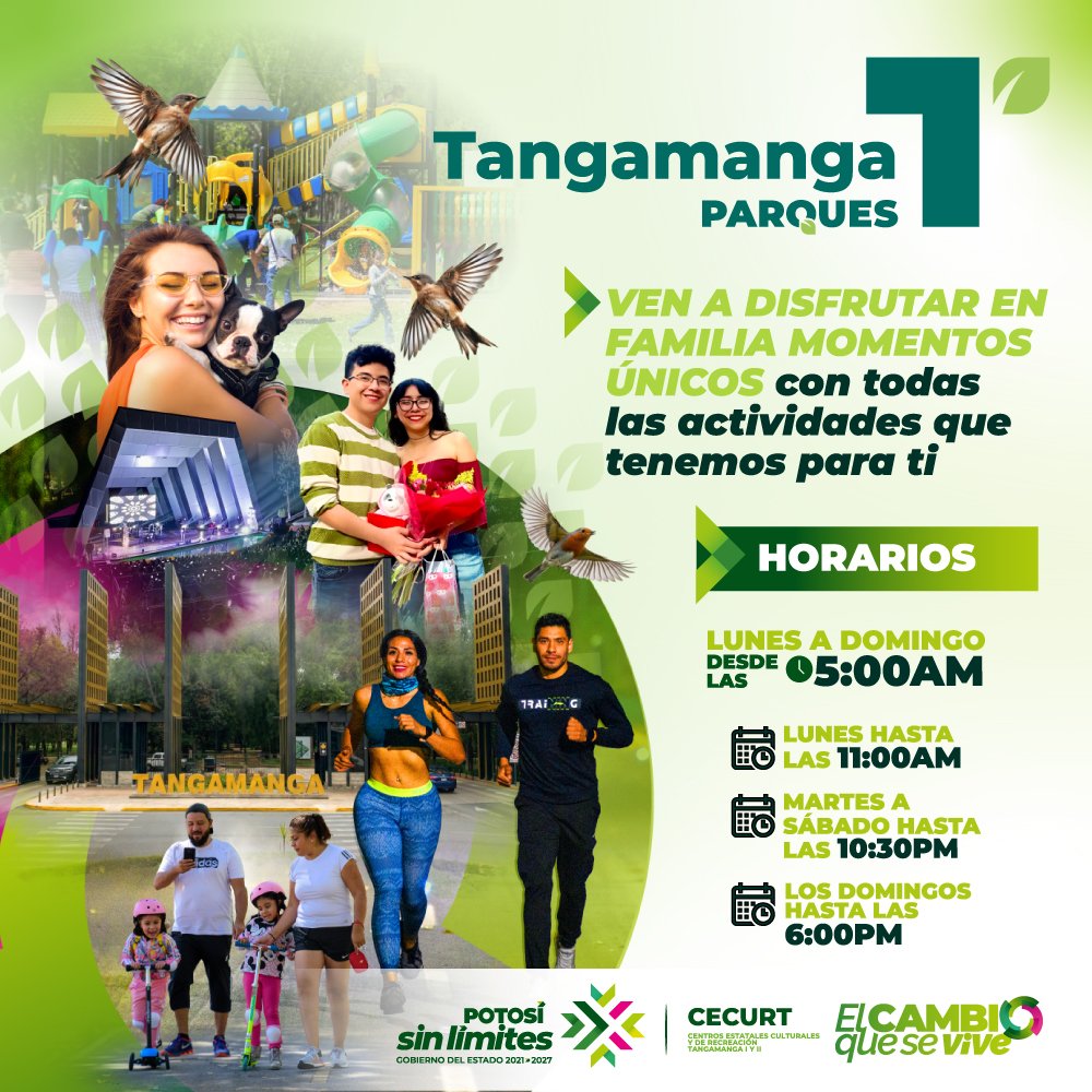 banners-tangamanga_cuadrado