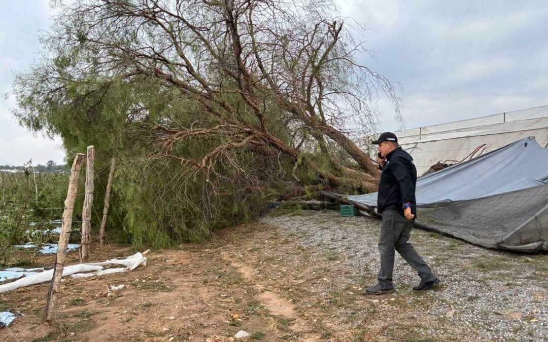 Redobla acciones autoridad de Bocas para dar atención a afectaciones debido a tromba