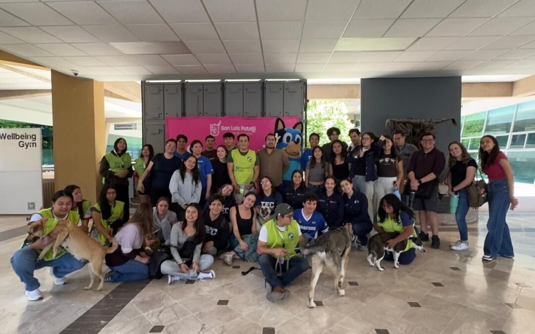 Dirección de Atención a las Juventudes impulsa la iniciativa Jóvenes con Huella