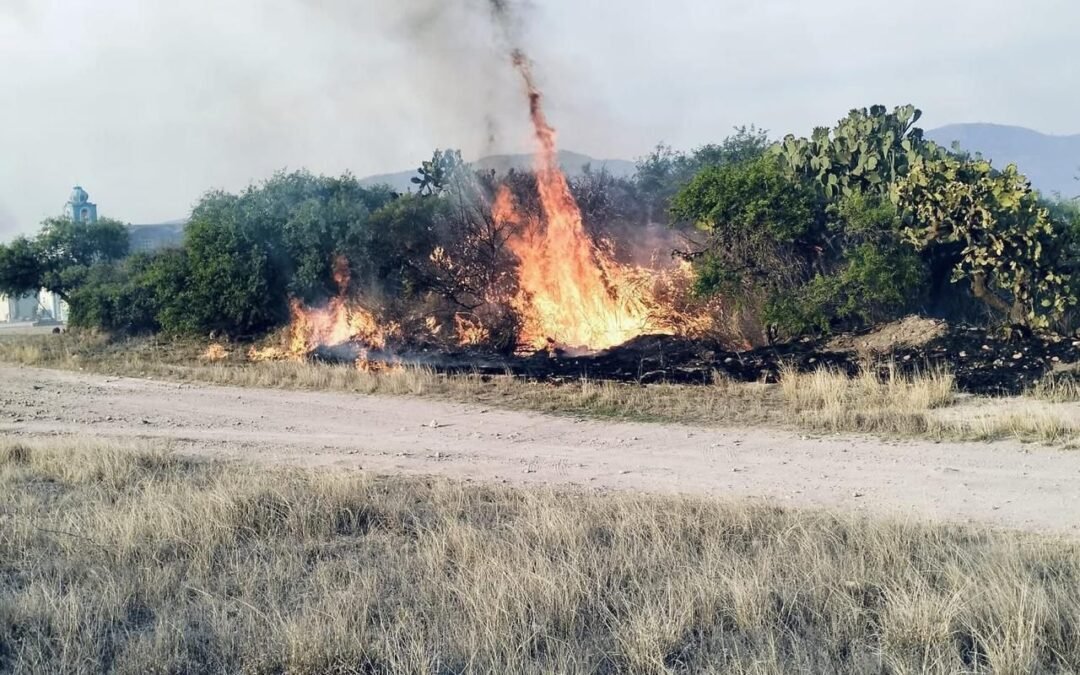 Gobierno de la Capital atiende oportunamente incendios en la Delegación Bocas.