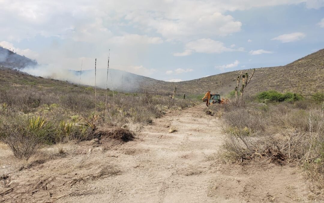 GOBIERNO ESTATAL LIQUIDA INCENDIO FORESTAL EN MATEHUALA