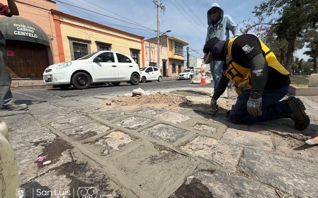 Gobierno de la Capital mejora la imagen urbana de la Calzada de Guadalupe