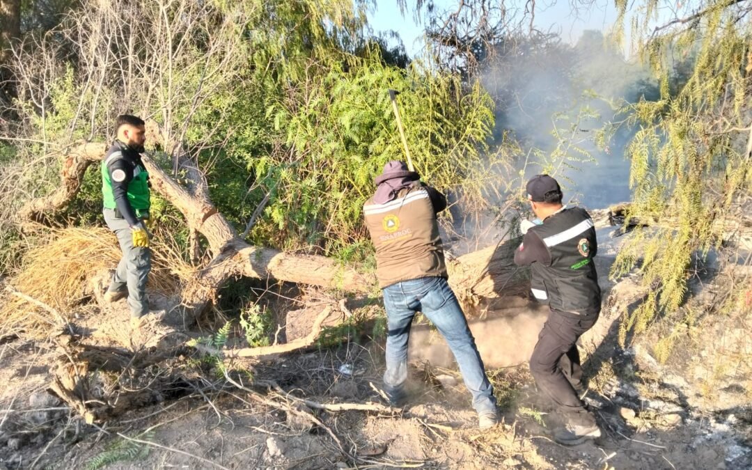 SOLEDAD DE GRACIANO SÁNCHEZ REFUERZA LLAMADO A EVITAR QUEMAS DE BASURA ANTE INCREMENTO DE INCENDIOS