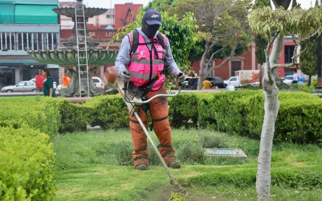 Gobierno de la Capital realiza constantes labores de mantenimiento en plazas y jardines