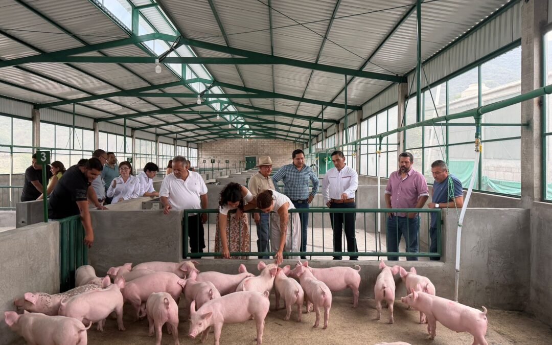 GOBIERNO ESTATAL FORTALECE PROYECTOS PRODUCTIVOS CON NUEVA GRANJA PORCÍCOLA