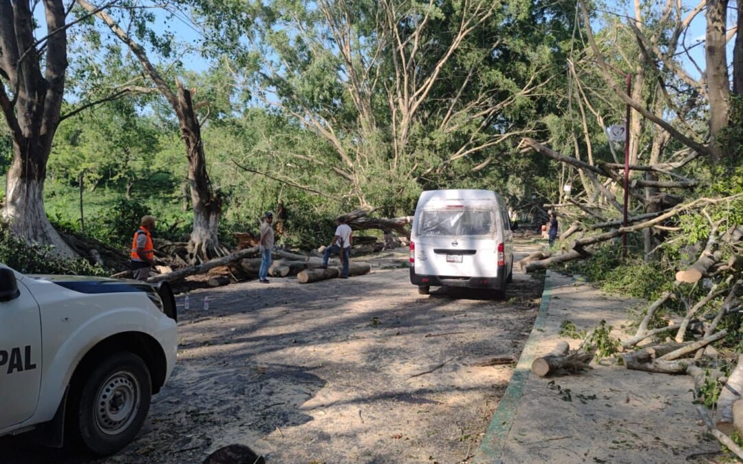 GOBIERNO ESTATAL ATIENDE AFECTACIONES POR LLUVIAS EN LA HUASTECA