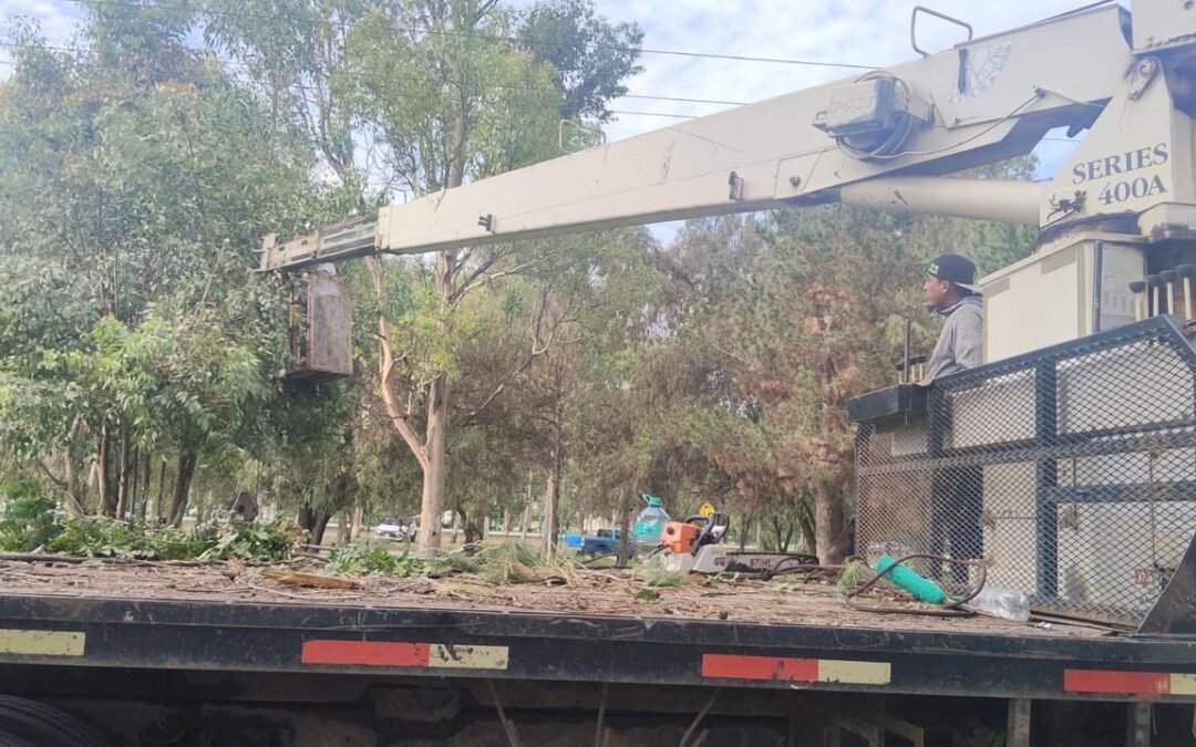 GOBIERNO ESTATAL REFUERZA ACCIONES PREVENTIVAS EN LOS PARQUES TANGAMANGA