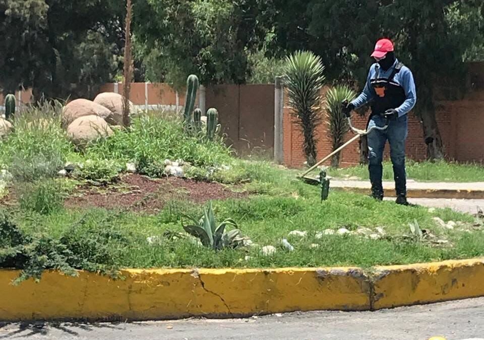 Gobierno de la Capital fortalece limpieza y mantenimiento urbano en Delegación La Pila