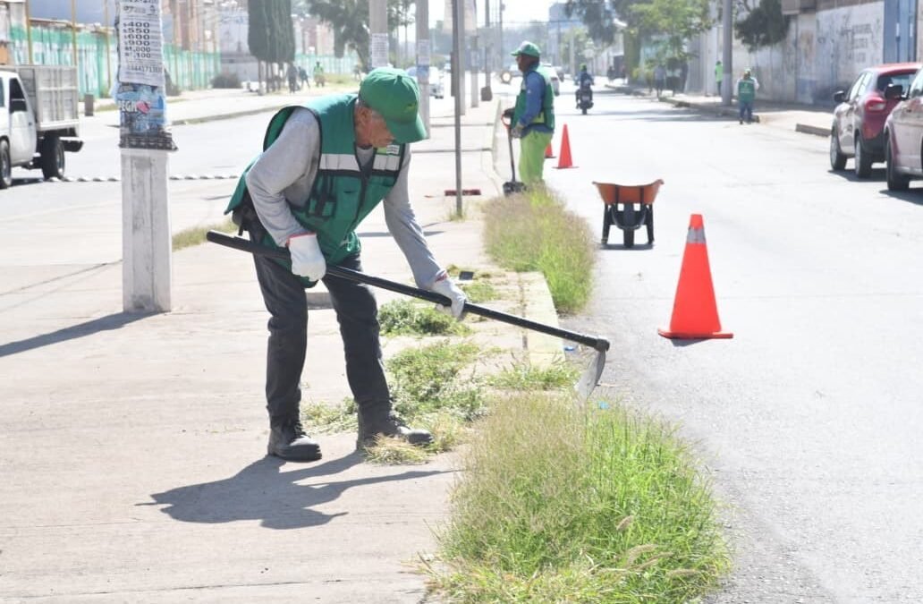 MUNICIPIO DE SOLEDAD INTENSIFICA LIMPIEZA DE ÁREAS RECREATIVAS, AVENIDAS Y ESPACIOS PÚBLICOS