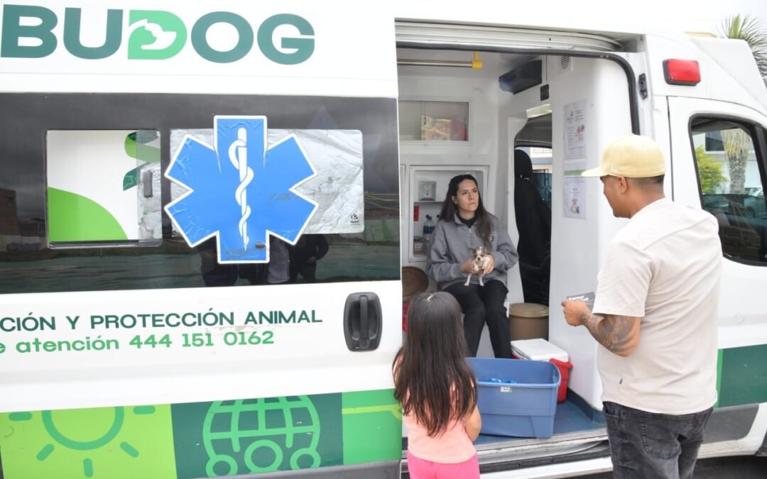 UNIDAD AMBUDOG EN SOLEDAD MANTIENE VACUNACIÓN ANTIRRÁBICA GRATUITA
